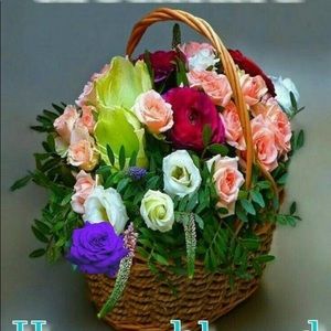 Meet your Posher, Sueret